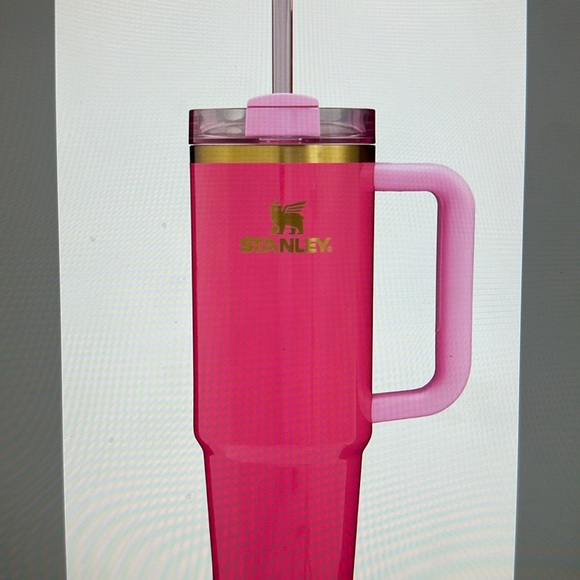 Stanley Other - STANLEY THE QUENCHER H2.0 FLOWSTATE™ TUMBLER | 30 OZ in PINK PARADE (SOLD OUT)